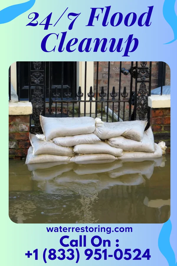 24/7 Flood Cleanup in Nassawadox, VA