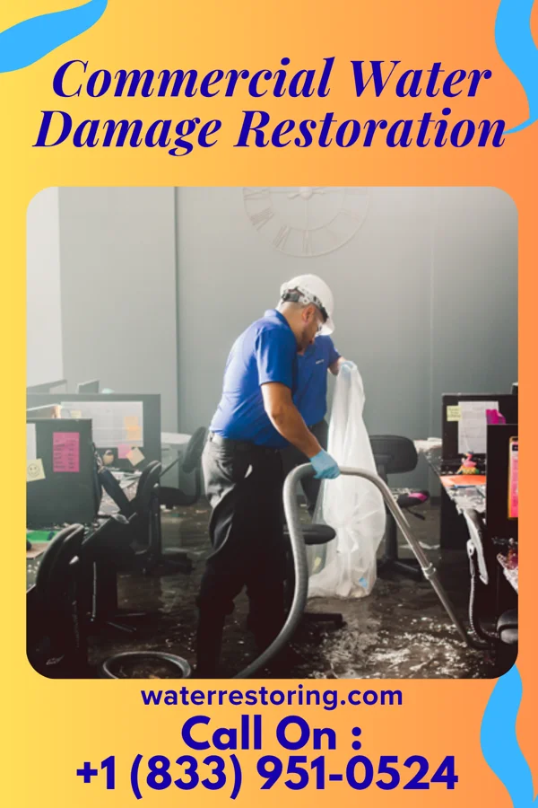 Commercial Water Damage Restoration in Nassawadox, VA