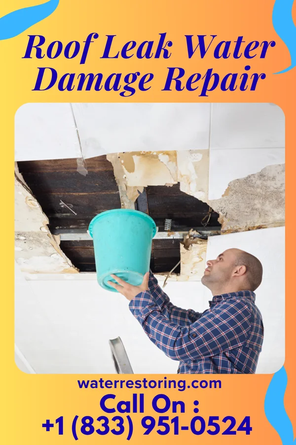 Roof Leak Water Damage Repair in Nassawadox, VA
