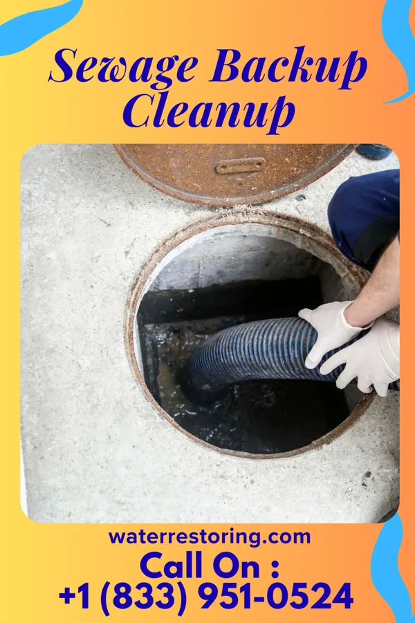 Sewage Backup Cleanup in Nassawadox, VA
